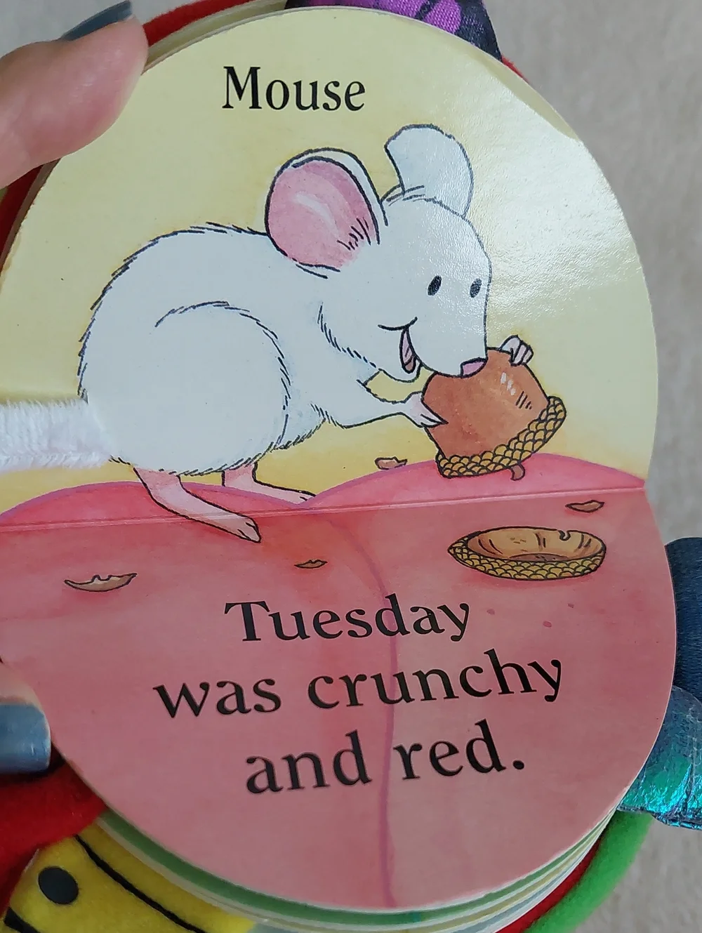MONDAY the BULLFROG: A Huggable Puppet Book About the Days of the Week NWOT